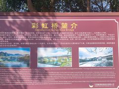 -彩虹桥