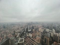 -上海柏悦酒店
