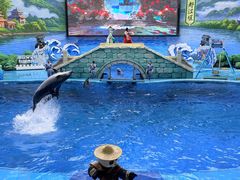 -海合安成都极地海洋公园
