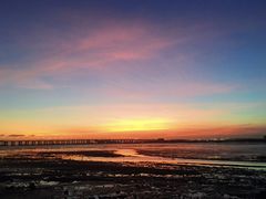 -宝安西湾红树林湿地公园