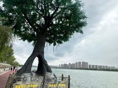 -咸阳湖景区