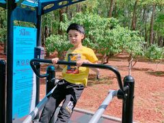 -朝阳公园游乐园