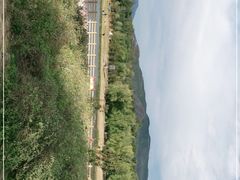 -滨河世纪广场公园