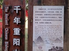 -蔡家宅