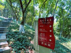 -龙头寺公园