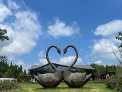 -东平国家森林公园