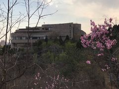 -府君山公园