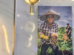 -烹然四季椰子鸡火锅(姚家园万象汇店)