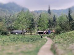 -龙窝子