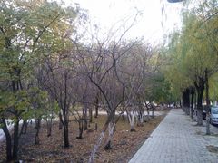 -哈尔滨师范大学(江南校区)