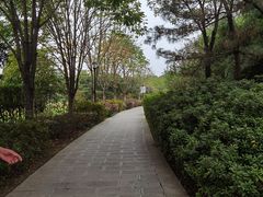 -合肥三国新城遗址公园