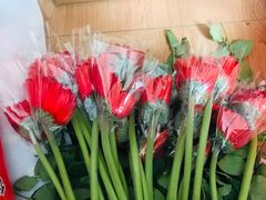 -昆明国际花卉拍卖交易中心