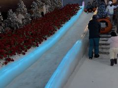-世界之窗阿尔卑斯冰雪世界