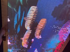 -Air Jordan(世贸天阶店)