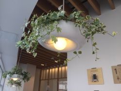 -悦诗风吟innisfree