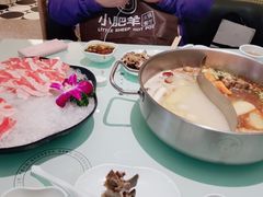 -小肥羊(西丽宝能城店)