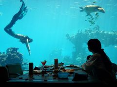 -海棠湾洲际-涛·海底餐厅·美人鱼·自助餐·海底隧道