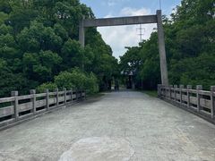 -上海海湾国家森林公园