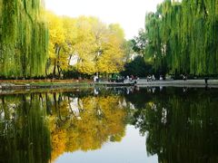 -玲珑塔公园