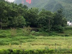 -长寿村