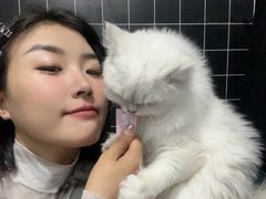 -翊宠yipet猫狗购宠庄园犬舍•猫舍