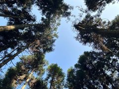 -山王坪喀斯特国家生态公园