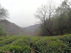 -敬亭山风景名胜区