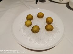 -南麓·浙里(外滩店)