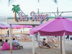 -巨鹏飞梦幻海岸