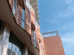 -香港大学