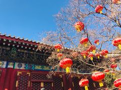 -香山公园