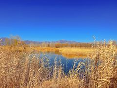 -野鸭湖国家湿地公园