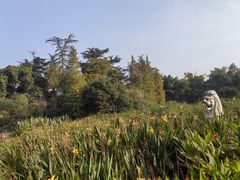 -桂湖森林公园