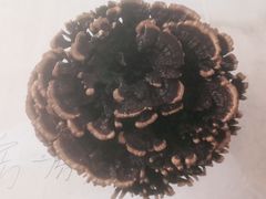 -清平中药材专业市场