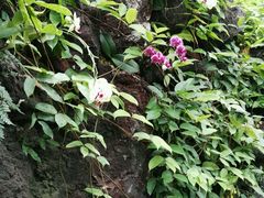 -南通洲际绿博园