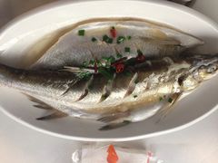 -太湖好灶头土菜馆(石公路店)