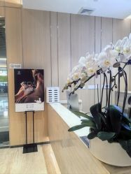 -恒美雅轩·品牌直营连锁