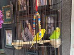 -咕嘟草帽鱼·牛奶一样的鲜鱼汤(包河万达广场创始店)