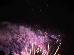 -花博汇(知音花月夜)
