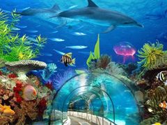 -太平洋海底世界