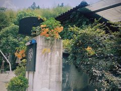 -Cafe In Little Forest