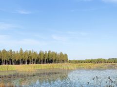 -东郊湿地公园