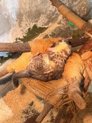 -Zoolung Zoolung动物主题公园(海信广场店)