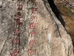 -王顺山国家森林公园