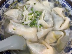 特色荠菜鲜肉大馄饨-九斤黄三黄鸡专卖店