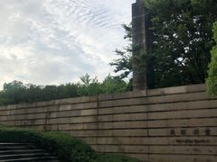 -美丽洲堂