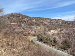 -妙峰山风景名胜区