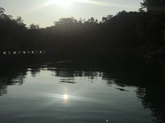 -广州市流溪河国家森林公园