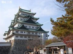 -名古屋城