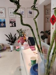 点击看大图 -Dr.林醫生产后修复·配方产康店(南京大厂店)